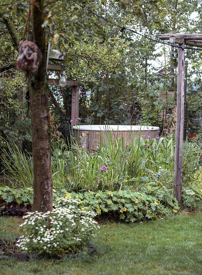 Natural garden with lush vegetation