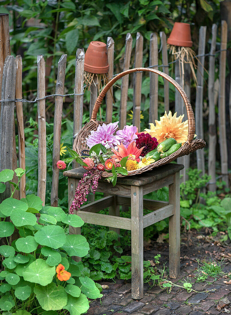 Korb mit bunten Sommerblumen auf Holzhocker im Garten