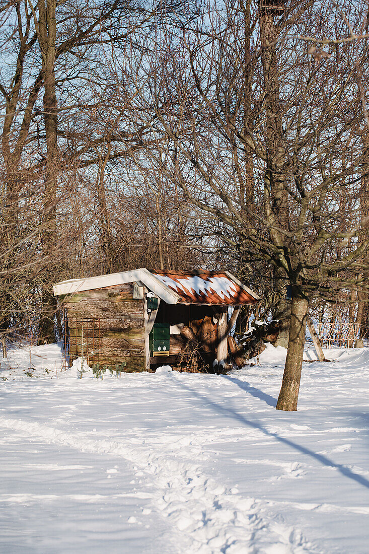 Snow-covered wooden hut in a wintry forest