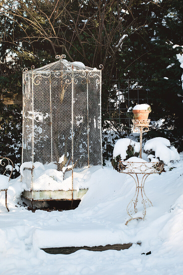 Snowy vintage birdcage in winter garden