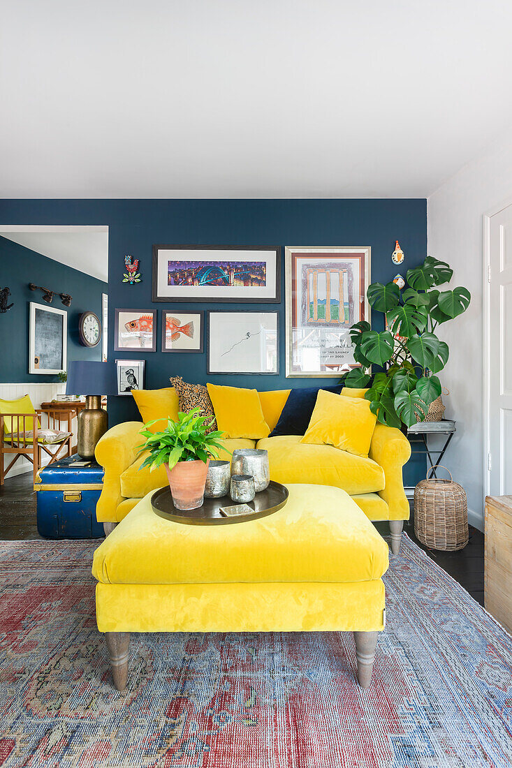 Yellow velvet sofa in living room with blue accent wall and plants