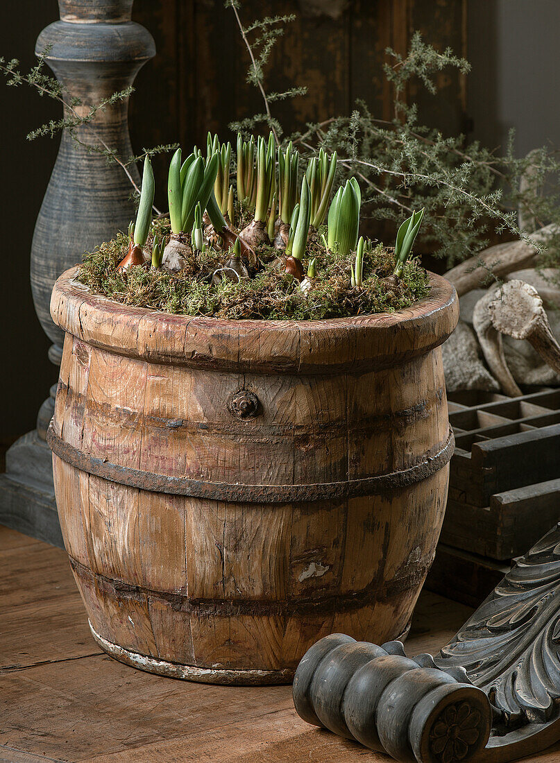 Blumenkübel aus Holzfass in rustikalem Ambiente