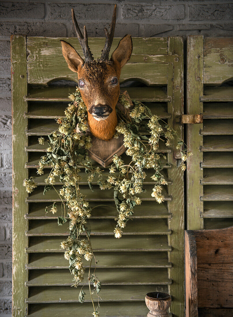 Antlers with hop wreath on green window shutter with slats