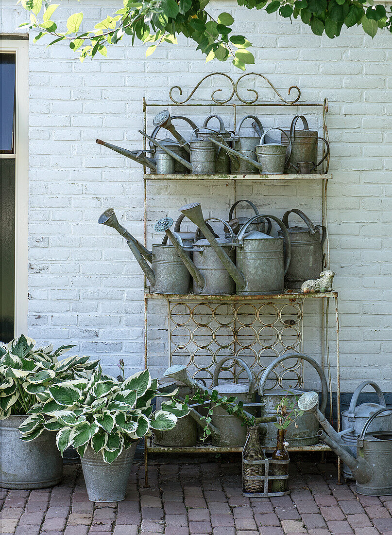 Vintage metal watering cans on a garden shelf in front of a white brick wall