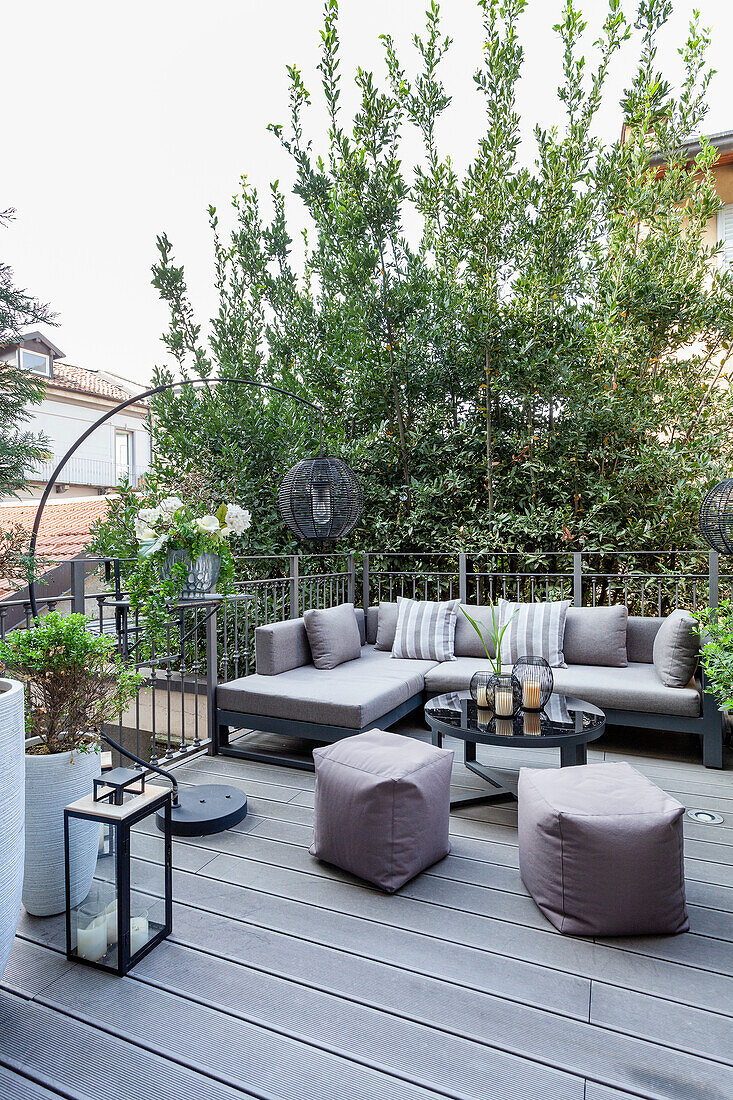 Terrace with lounge furniture and privacy screen made from young trees