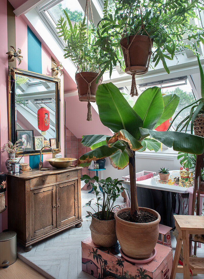 Living area with hanging plants under skylights and antique wooden console with washbasin