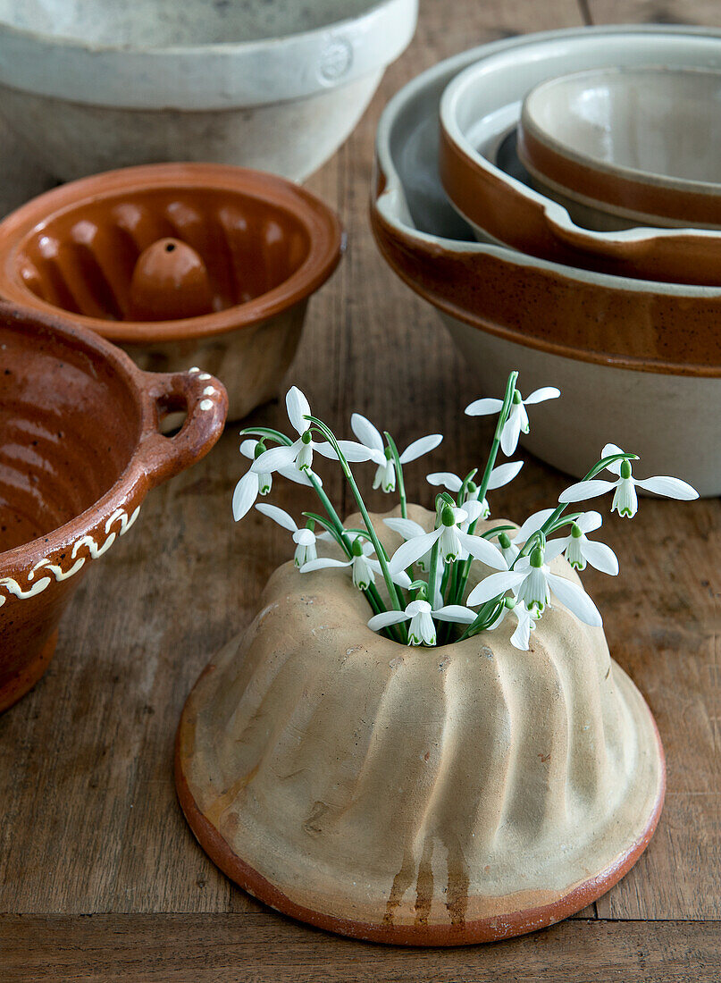 Snowdrops (Galanthus) in old gugelhupf ceramic pot