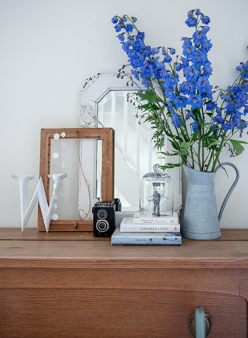 Blue delphinium in a zinc watering can and decorative objects on a wooden chest of drawers