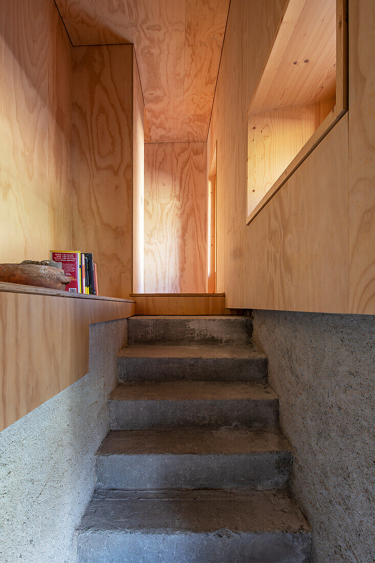 Treppe mit Betonstufen und Wänden aus hellem Holz