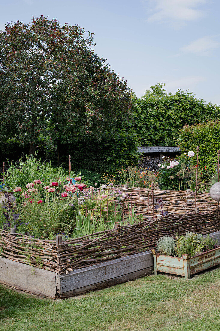 Hochbeete mit Blumen und Kräutern, umgeben von Flechtzäunen im Garten