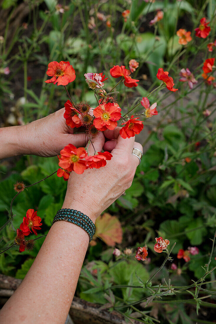 Frau hält orangerote Mohnblumen (Papaver) in der Hand