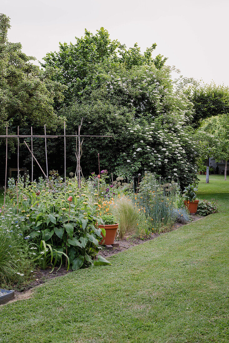 View of flowering garden bed with planting sticks and potted plants