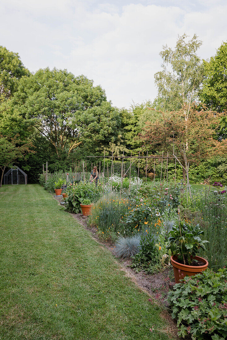 Reihen von Blumenbeeten und Pflanzkübeln in einem sommerlichen Garten