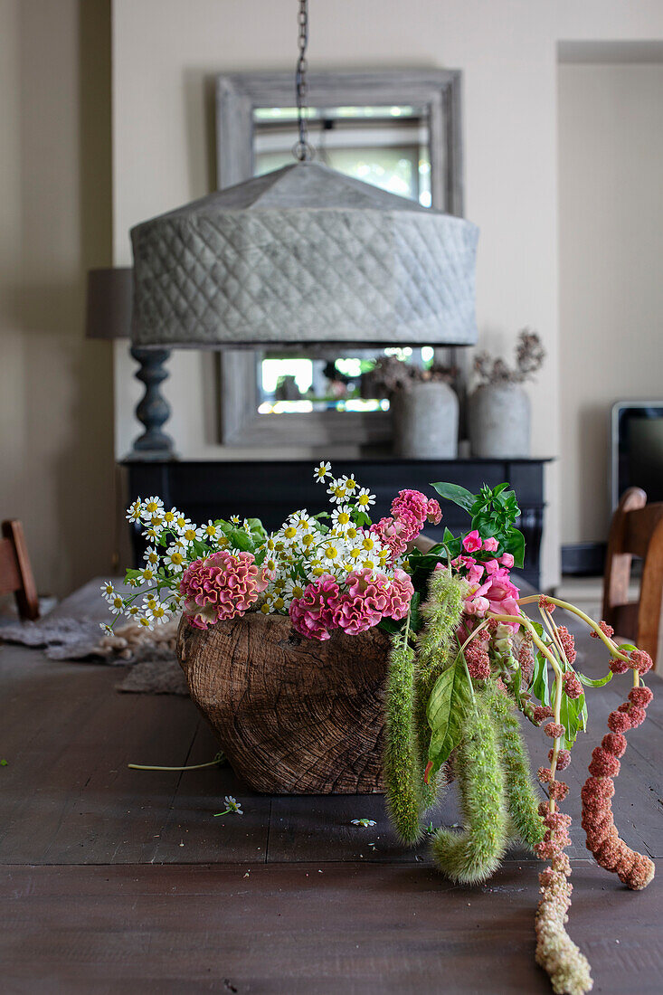 Korb mit Chrysanthemen (Chrysanthemum) und Margeriten (Leucanthemum) auf Esstisch