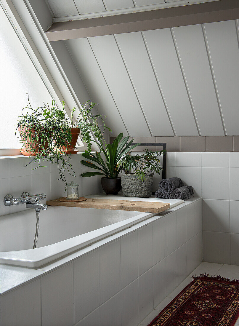 Bathroom with sloping roof, bathtub, wooden shelf and various plants