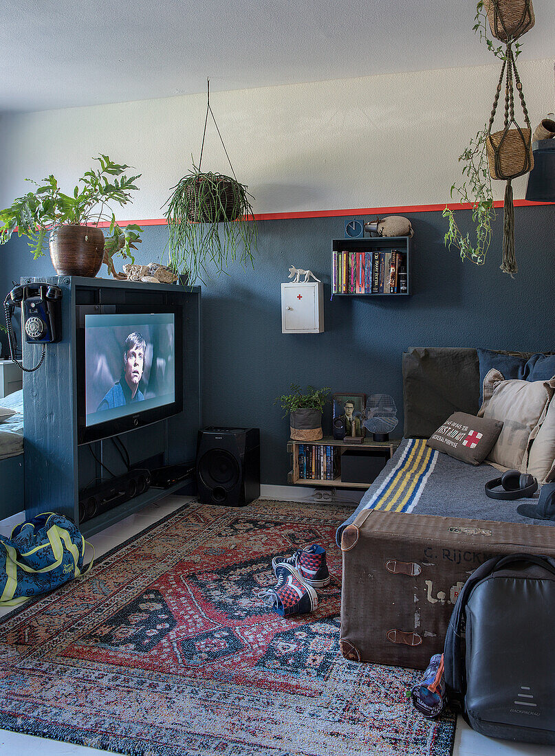 Teenage bedroom with rustic sofa, oriental rug and hanging plants