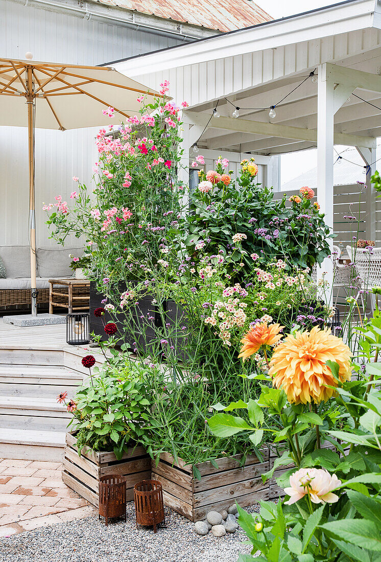 Lushly blooming summer flowers in wooden boxes in front of patio area