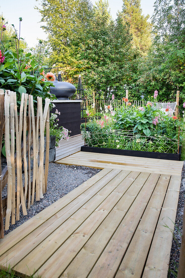 Wooden terrace in the garden with raised bed and perennial bed in summer