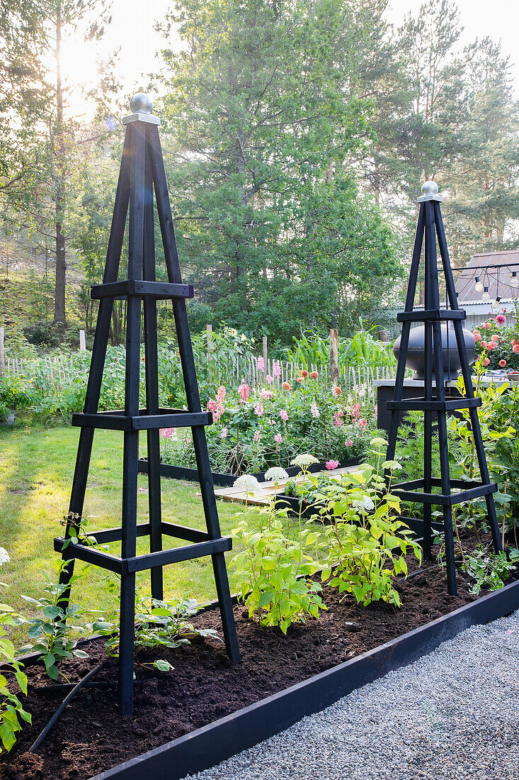 Black garden obelisks in a flowering summer garden