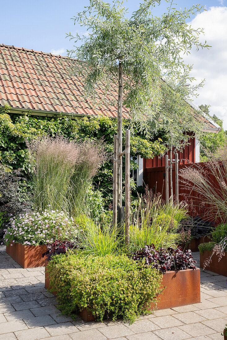 Modern garden area with grasses in Corten steel raised beds