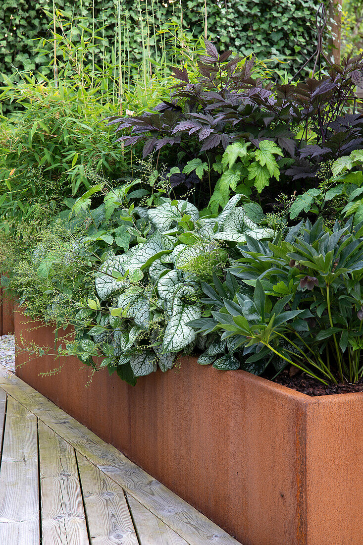 Various ornamental plants in a raised bed made of Corten steel