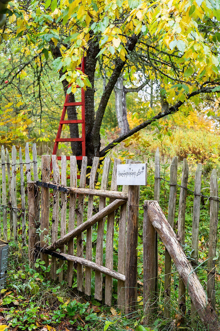 Rustic wooden fence with gate and red ladder in the background