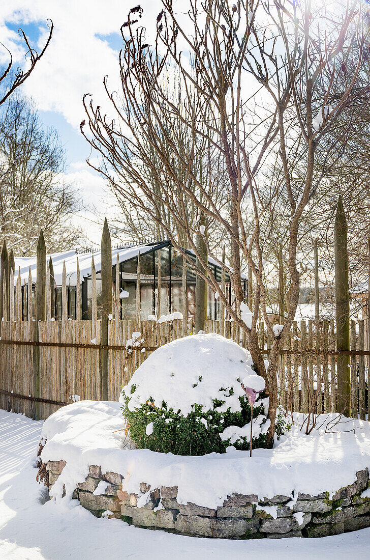 Winterlicher Garten mit Schnee bedecktem Buchsbaum und Gewächshaus im Hintergrund