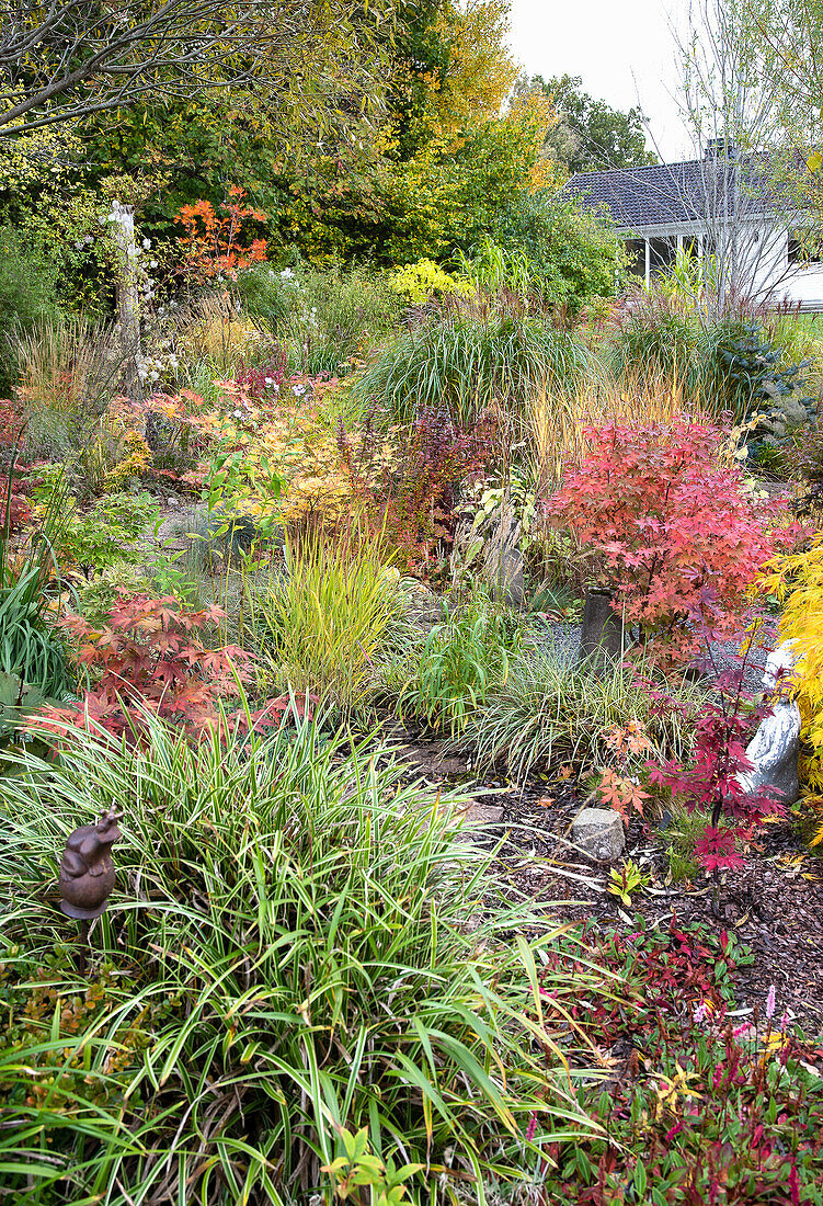 Garden with colourful autumn leaves and grasses