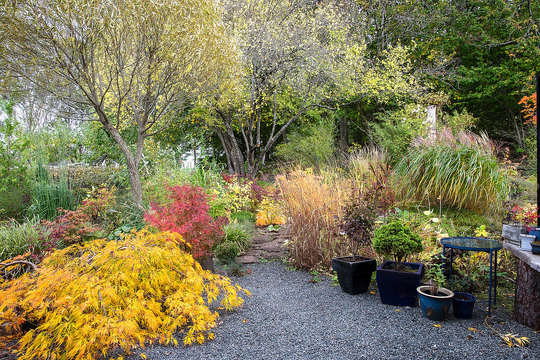 Colourful autumn garden with gravel path and potted plants