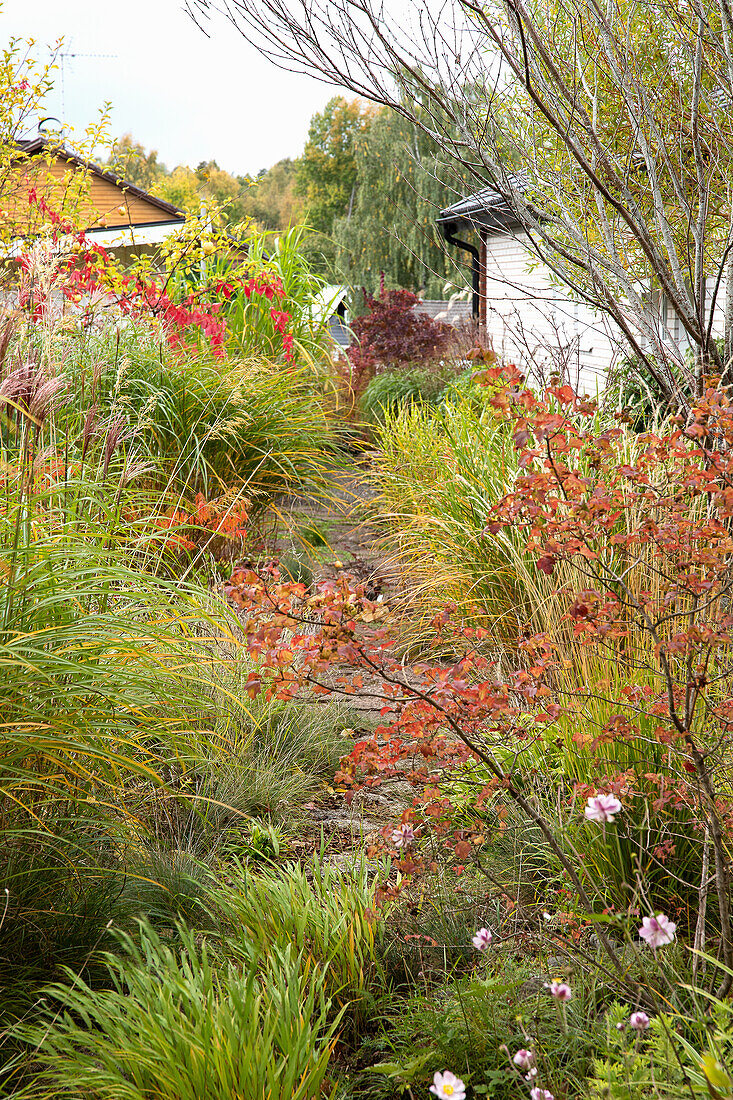 Autumnal garden area in bright colours