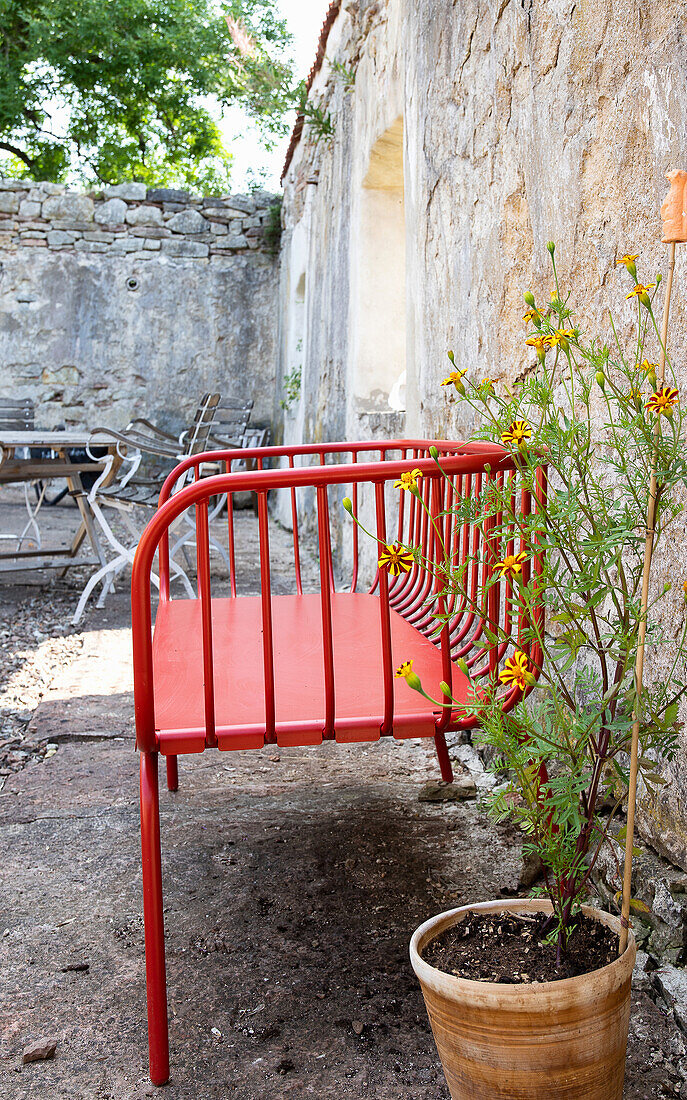 Rote Gartenbank aus Metall neben Tagetes-Pflanze im Innenhof