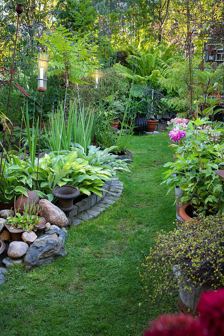 Gartenpfad mit Farnen und Blütenpflanzen im Sommer