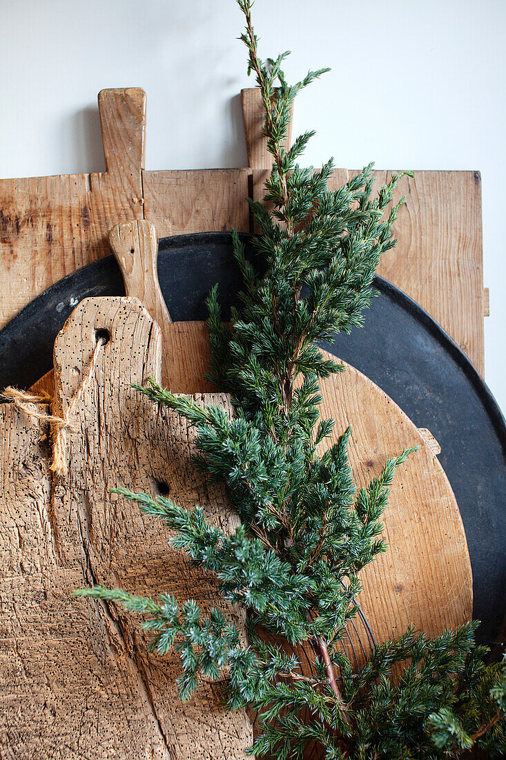 Zweig eines Wacholders (Juniperus) auf rustikalen Schneidebrettern