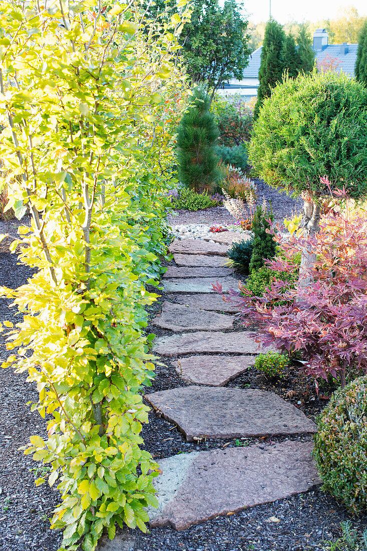 Stone path through an autumn garden