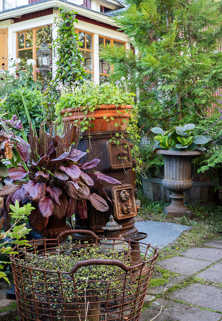 Lushly planted garden area with an old stove as a decorative object