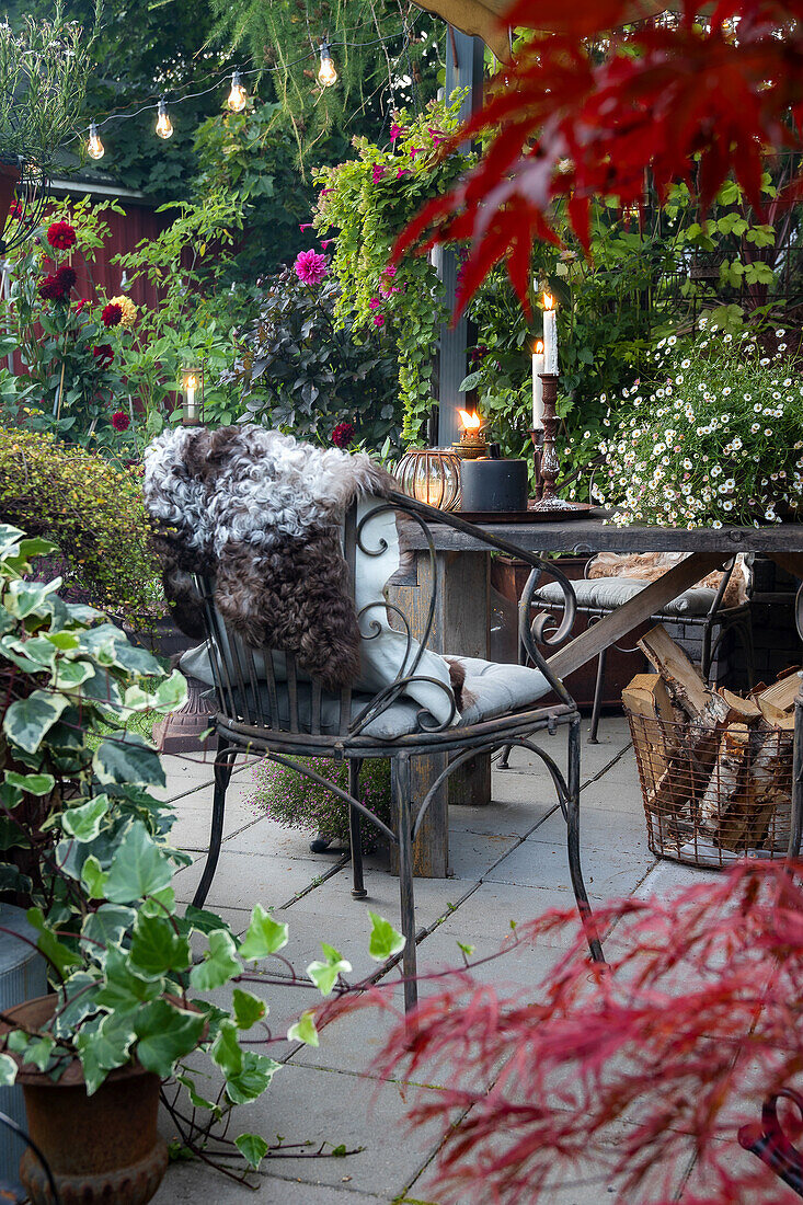 Gemütliche Terrasse mit Sitzgelegenheit, Kerzenlicht und herbstlicher Bepflanzung