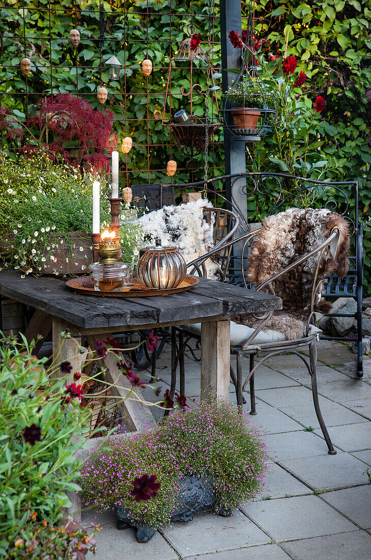 Gemütlicher Terrassenbereich mit Holztisch und Pflanzenarrangement im Herbst