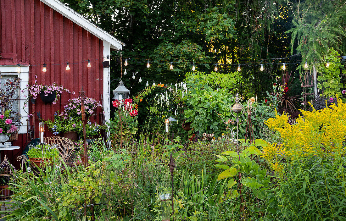 Lushly planted cottage garden with glowing fairy lights