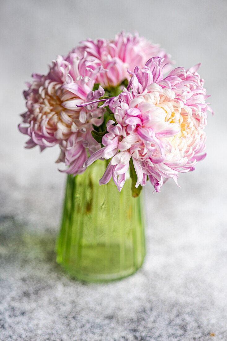 Chrysanthemen (Chrysanthemum) in grünem Glasvase auf Steintisch