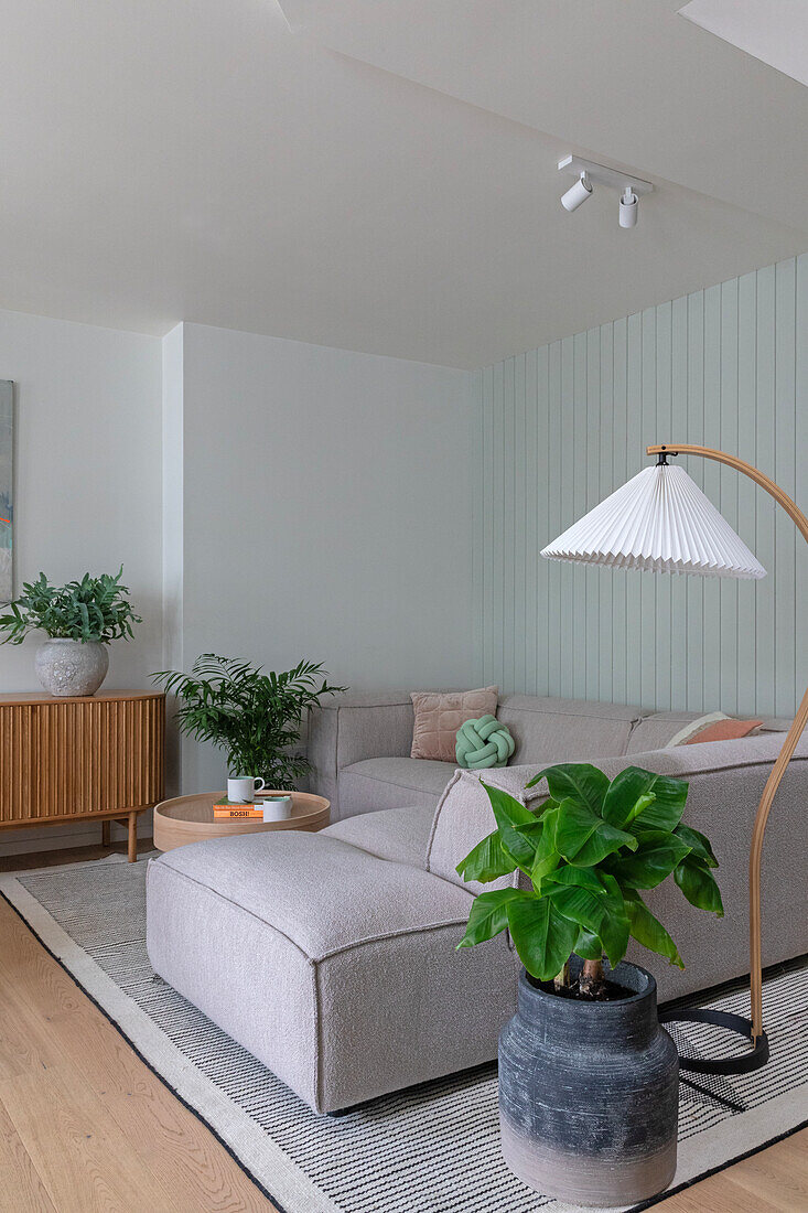 Living room with grey corner sofa, indoor plants and floor lamp