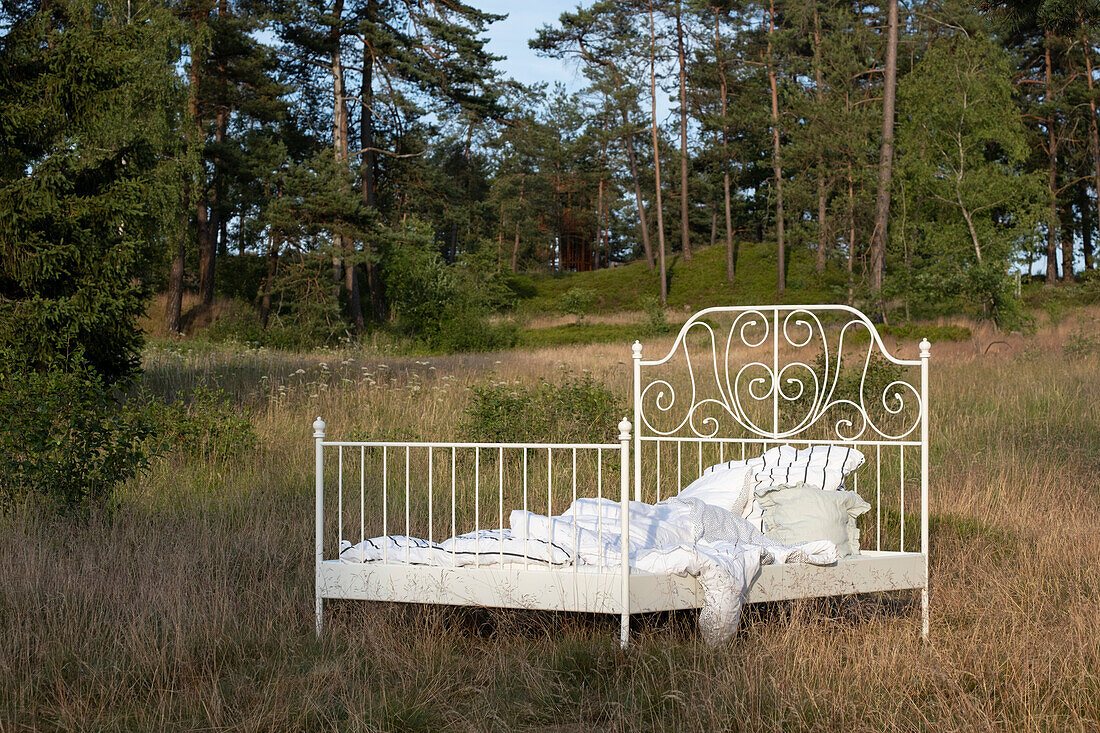 Weißes Metallbett mit Kissen und Decke auf Wiese vor Wald