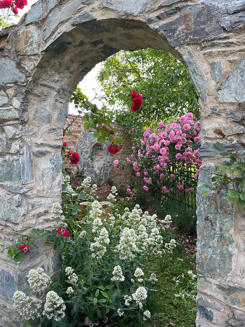 Steinbogen mit Rosen und blühenden Stauden im Garten