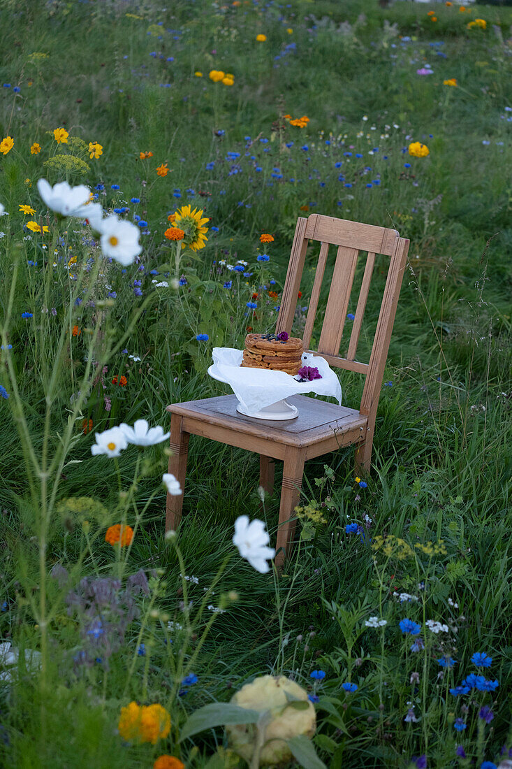 Holzstuhl mit Waffeln auf Kuchenplatte in blühender Sommerwiese