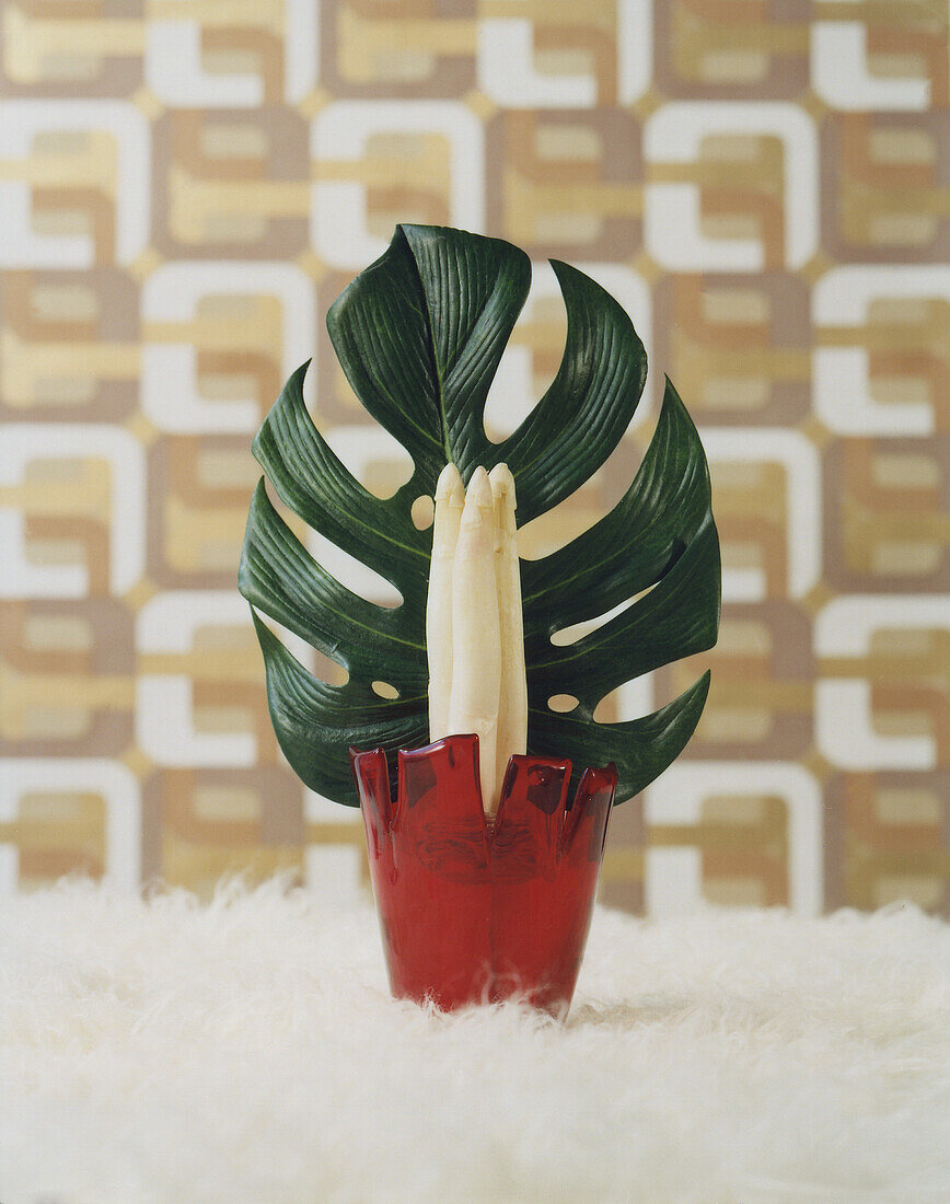 Monstera leaf and white asparagus in red glass jar on fur rug