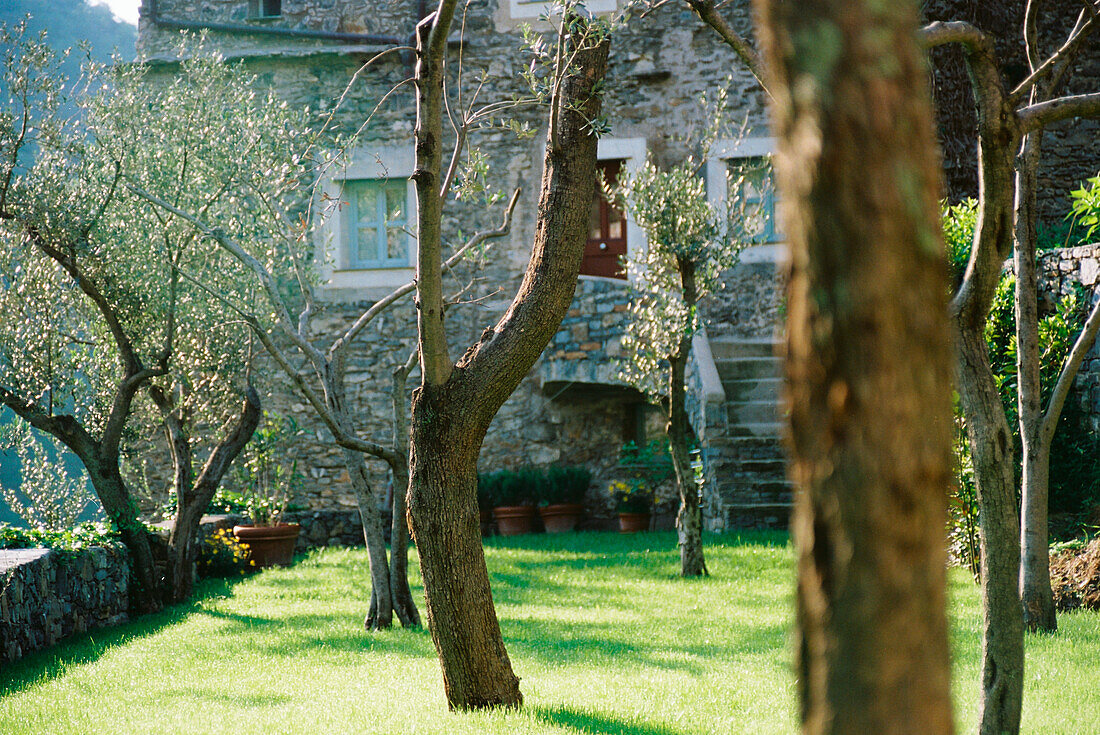 Bäume vor einem Steinhaus im sonnigen Garten