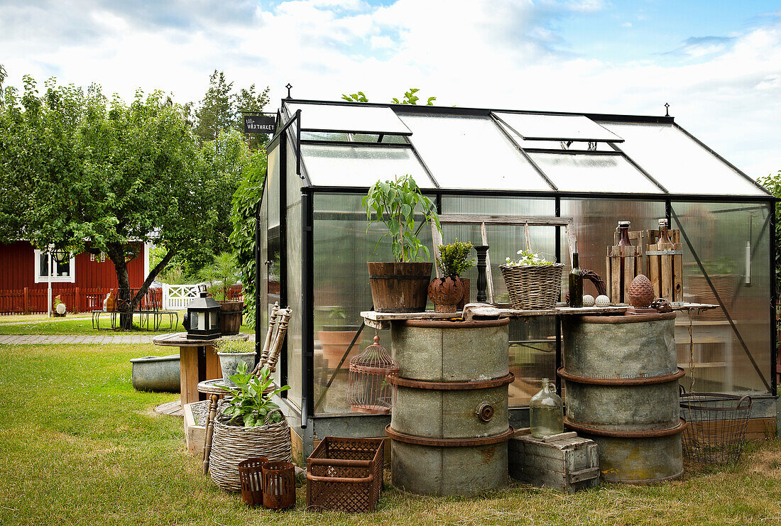 Greenhouse, plants and barrels in the garden, trees in the background