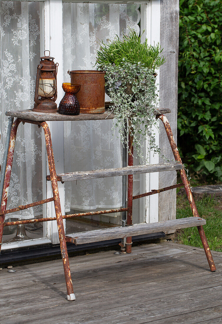 Rusty stepladder as a plant stand with lantern and plant in front of a window front