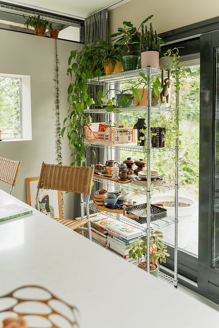 Kitchen shelf with plants and ceramic crockery, patio doors