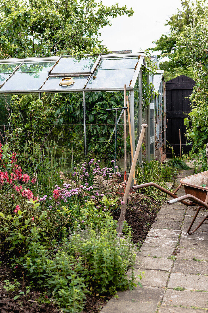 Garten mit Gewächshaus, Blumenbeet und Gartenwerkzeugen im Sommer