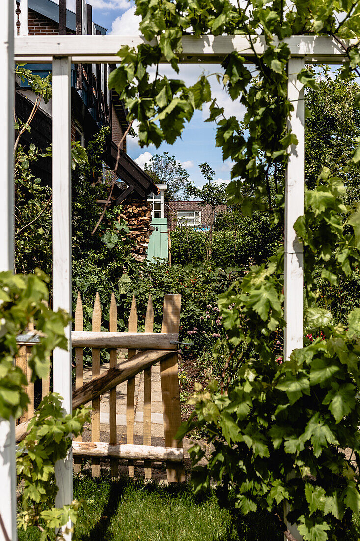 Wooden gate and pergola in a lush garden in summer